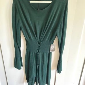 Express sweater dress